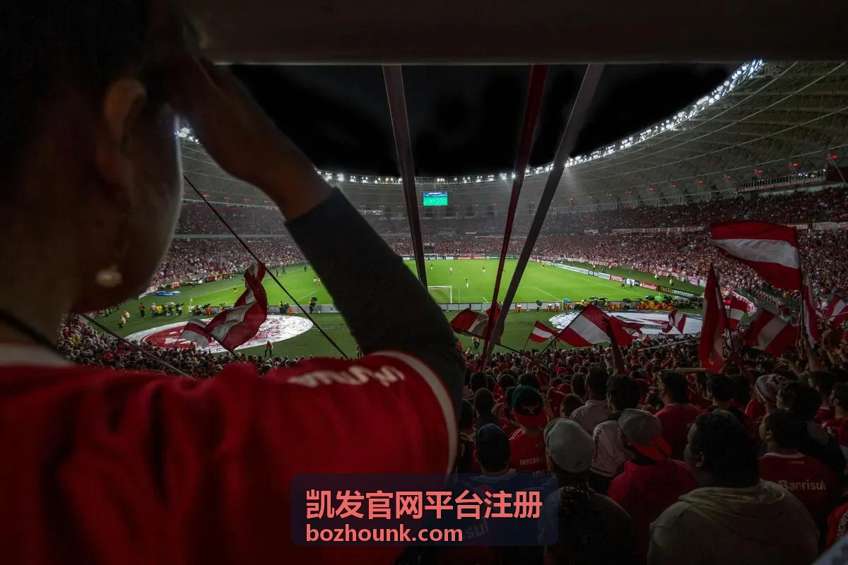 凯发官网平台注册审核进度与资料补充说明